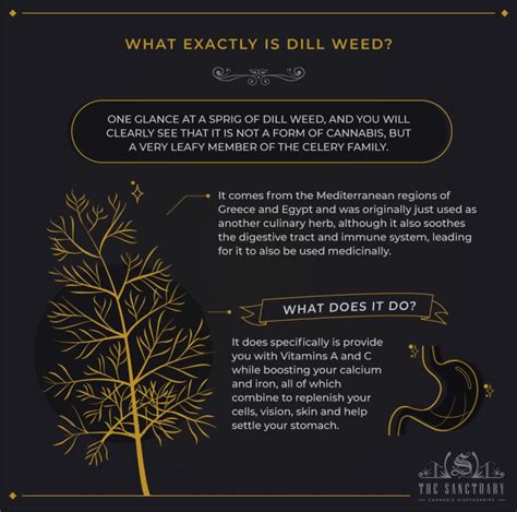 what is dill weed the sanctuary