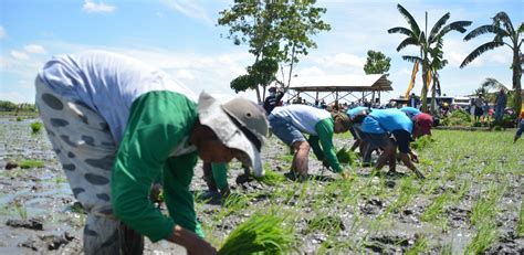 Facebook gives people the power to share and makes the world more open and connected. RICE PLANTING RACE IN DATU PAGLAS BRINGS JOY TO THE ...