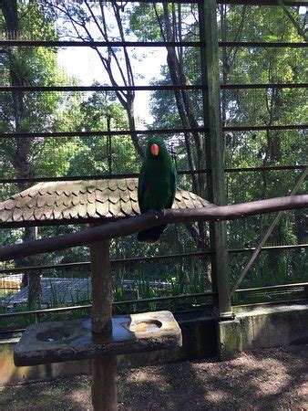 Kuala Lumpur Bird Park  2019 All You Need to Know Before You Go (with