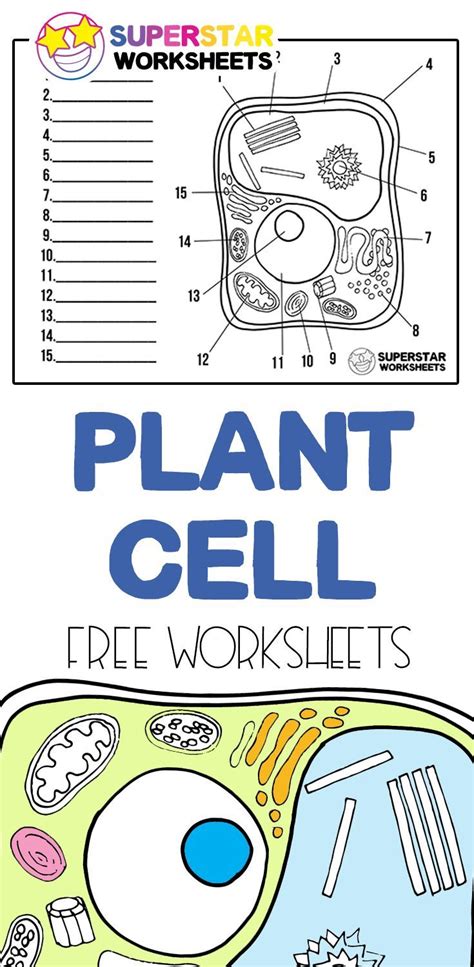 We did not find results for: Plant Cell Worksheets. Free plant cell worksheets for ...