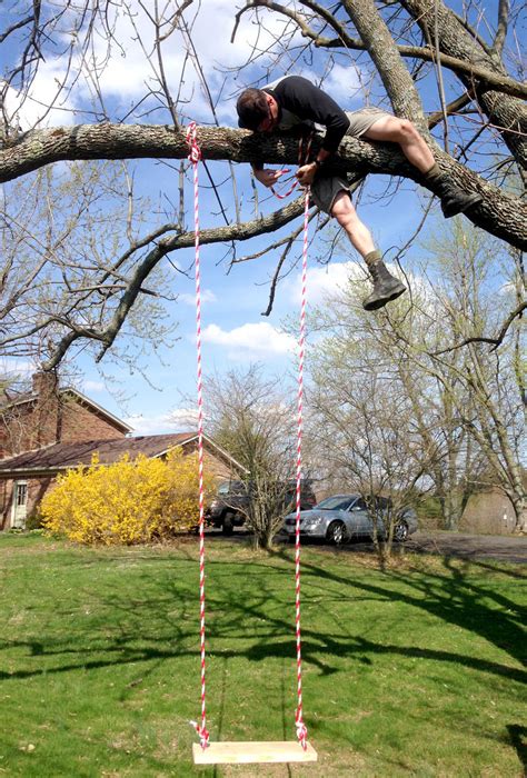 Diy Tree Swing