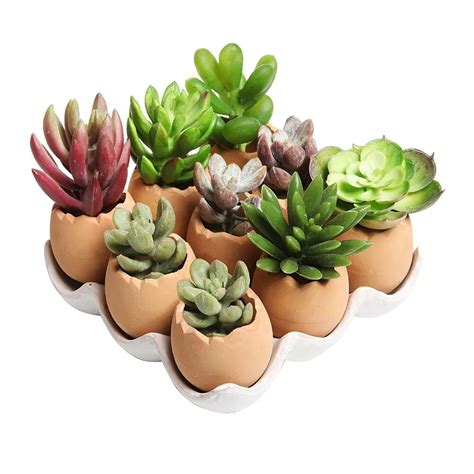Adorable Set Of 9 Brown Eggs Design Ceramic Succulent Planters Mini