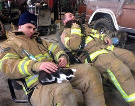 Firefighters Save Kittens From The Rubble After Fire Love Meow