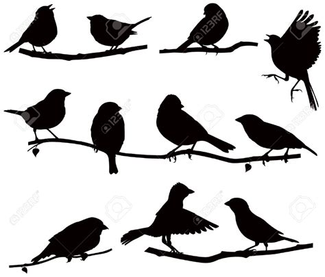 Vektoren Silhouetten Der Vögel Auf Einem Ast Standard Bild 17569042