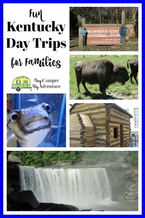 Maybe you would like to learn more about one of these? 5 Fun Things to Do in Kentucky with Kids | Road trip fun ...