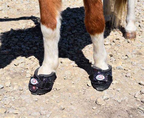 Clb Bling Cute Little Boot Slim Mini Horse Hoof Boot Cavallo Horse And
