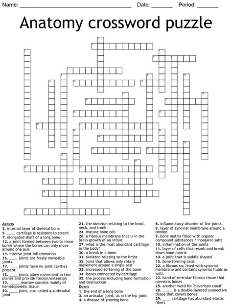 Anatomy Crossword Puzzle Wordmint