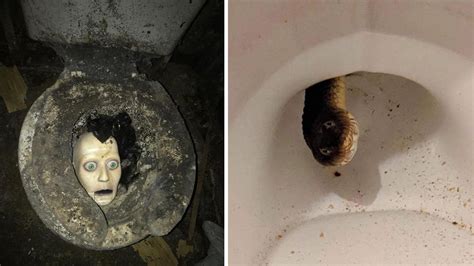Validate Your Preference For Never Leaving Home With These Cursed Bathrooms Know Your Meme