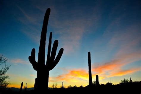 Arizona Sunrise Free Stock Photo Public Domain Pictures