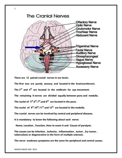Cranial Nerves Examination And Disorders