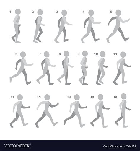 Phases Of Step Movements Man In Walking Sequence Vector Image