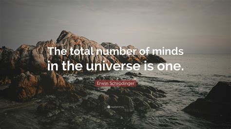 Erwin Schrödinger Quote “the Total Number Of Minds In The Universe Is