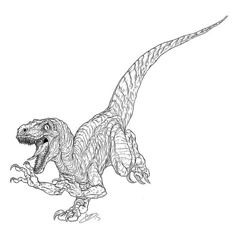Jurassic world 28 printable coloring pages for kids. Jurassic World Coloring Pages Raptor | Рисовать, Рисунки ...