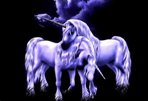 Aesthetic Wallpaper Mythical Animals Unicorn Horse Free Top Wallpapers