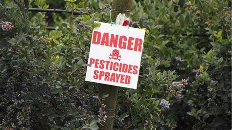 Apology Issued For Testing Pesticides On Humans Beyond Pesticides