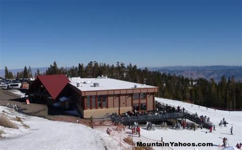 Your mosquito control south lake tahoe need can only be fulfilled by the professionals from furthur. 10 day weather forecast lake tahoe