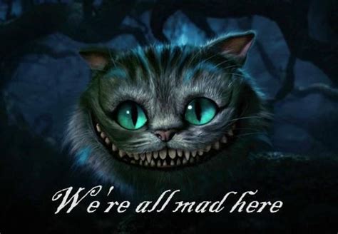 Image result for optimism meme | Alice and wonderland quotes, Cheshire