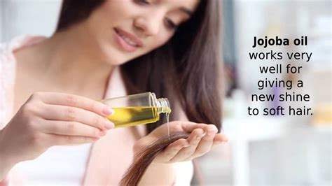 Jojoba Oil Properties Benefits Jojoba Oil For The Hair