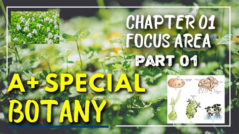 Plus Two Botany A Special Chapter Based On Focus Area Youtube