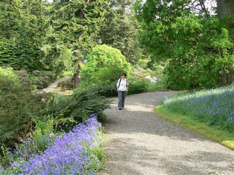 Dawyck Botanic Garden Visitscotland