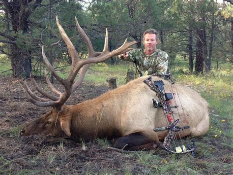 Elk Hunting In New Mexico