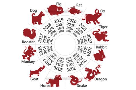 The 12 Chinese Animal Zodiac You Must Know During Chinese New Year