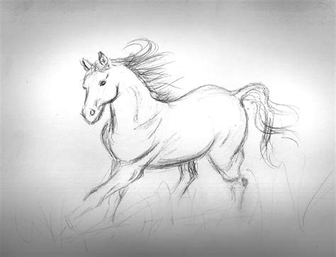 The Horses Art By Sandra Alain