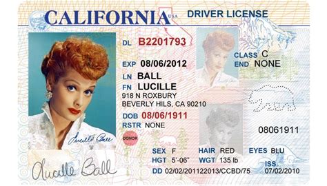 California Drivers License Editable Psd Template Download 500