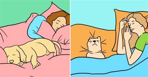 7 Motivi Sorprendendi Per Dormire Con Il Tuo Cane