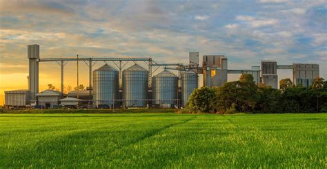 Professional pest control services banish unwanted guests such as ants, wasps, and cockroaches from businesses and no new notifications. Durham: The factory farming fallacy | AGDAILY