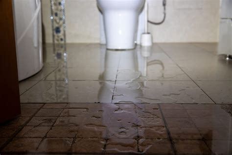 What To Do When Your Toilet Leaks Stack Hce Blog