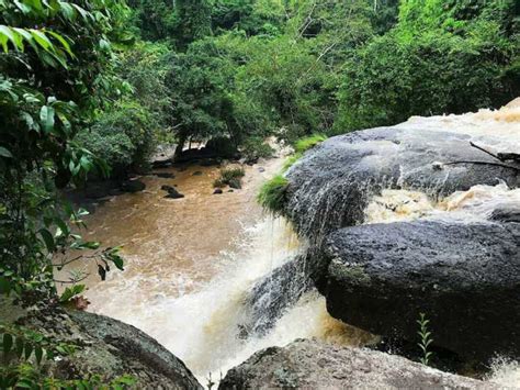 Journée De Trekking Dans La Jungle Du Parc National De Khao Yai Au