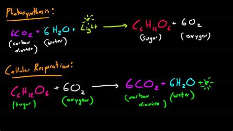 What are the reactants of cellular respiration? Biology Lecture - 31 - Photosynthesis and Cellular ...