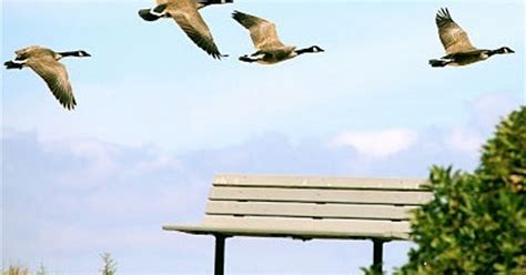 Rethinking The Empty Nest Huffpost Post 50