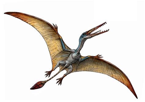 New Species Of Pterosaur Discovered In Patagonia