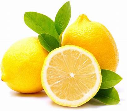 Lemon Clipart Meringue Tart Citron Pie Herb