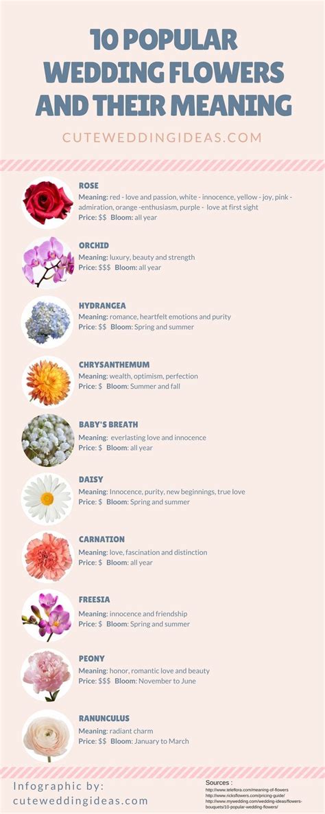 Bm and there's nothin', pure, in this world. nice 10 popular wedding flowers and their meaning ...