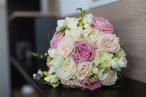 Kostenlose Foto Hand Blühen Pflanze Frau Weiß Ring Blume