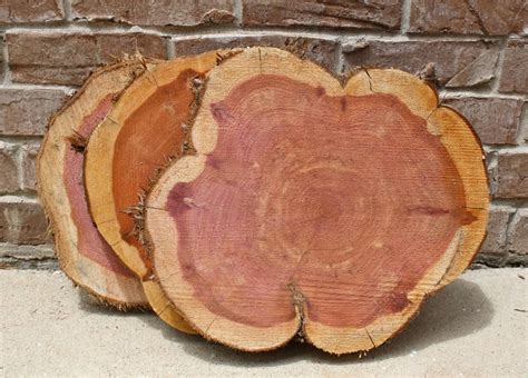 This Item Is Unavailable Etsy Large Wood Slices Wood Slices Cedar