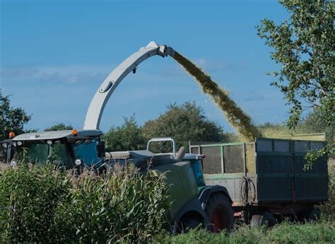 Premium Photo Corn Harvest Corn Forage Harvester In Action Harvest