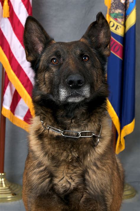 K9 Units Retire After Nearly 20 Years Of Service East Idaho News