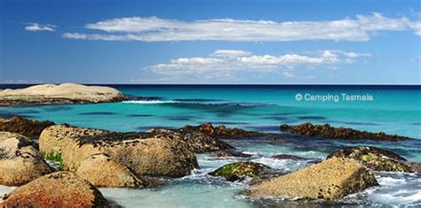 In tasmania the firewood industry is an intergenerational 'backyard' industry. Swimcart Beach Free Camping Bay Of Fires Accommodation ...