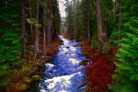 Middle Fork Of Rogue River In Southern Oregon This Is One Of My