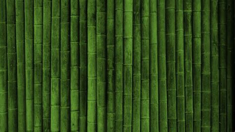 Free Download Wallpapers Bamboo 1280x800 For Your Desktop Mobile