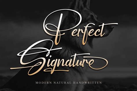 Perfect Signature Font Dafont Free