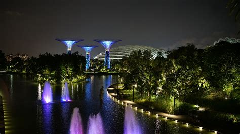 Tapeta Singapur Gardens By The Bay Natura Ogródy Noc 1920x1080