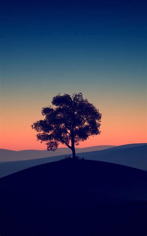 1200x1920 Tree Alone Dark Evening 4k 1200x1920 Resolution Wallpaper Hd