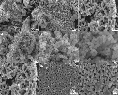 Sem Images Of Different Magnifications For Ca3co4o9 Samples Synthesized