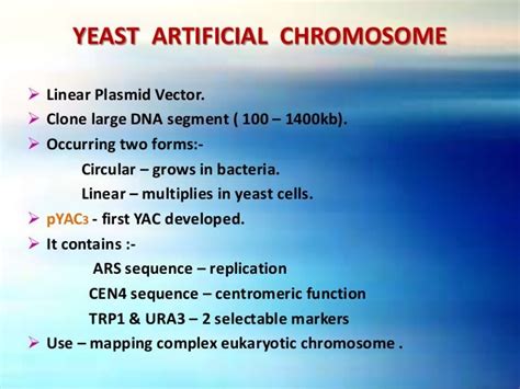 Molecular Cloning - Vectors: Types & Characteristics