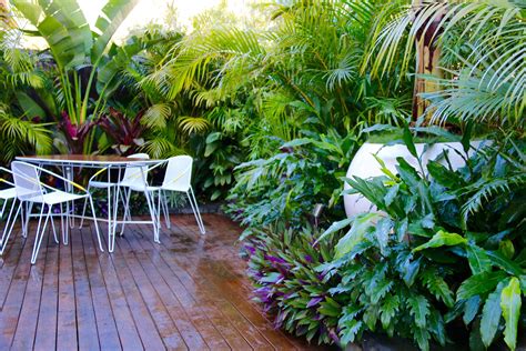 Love The Look Of A Vibrant Tropical Garden But Dont Live In The